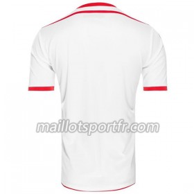Maillot de Foot Tunisie Domicile Coupe du monde 2018